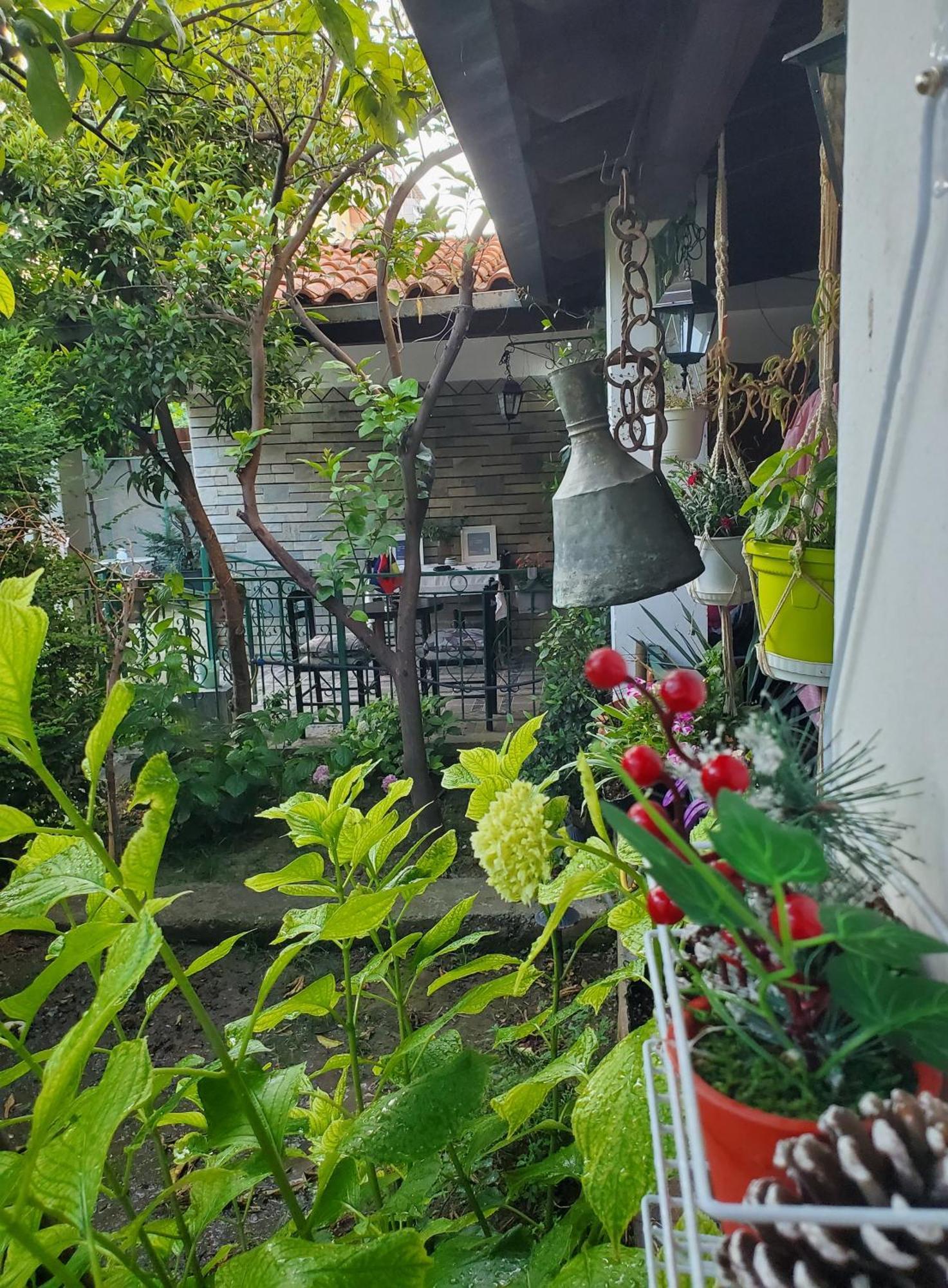 Unique Traditional House, Hosted By J&g Tirana